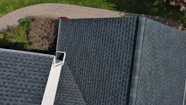 Best Solar Panel Roofing Installation  in USA